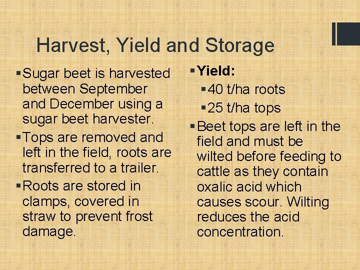 Harvest, Yield and Storage § Sugar beet is harvested between September and December using