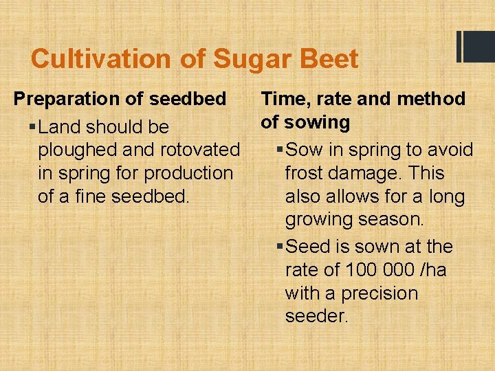 Cultivation of Sugar Beet Preparation of seedbed § Land should be ploughed and rotovated