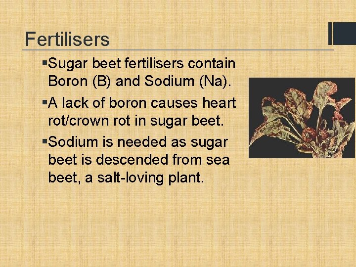 Fertilisers §Sugar beet fertilisers contain Boron (B) and Sodium (Na). §A lack of boron