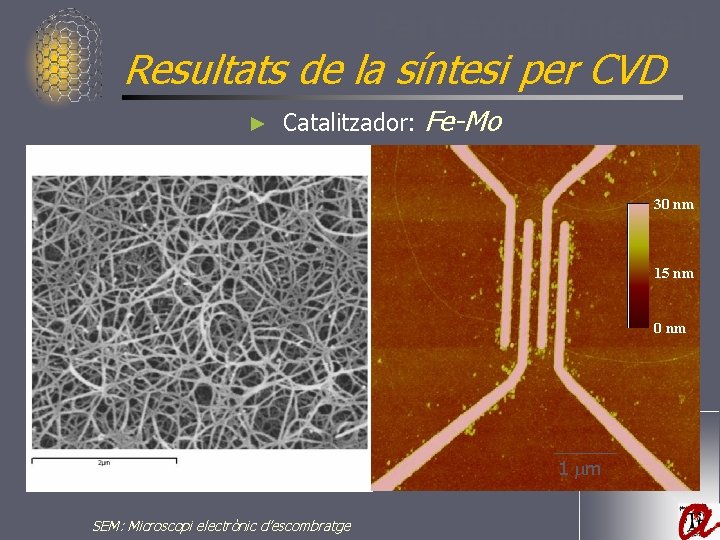 Part experimental Resultats de la síntesi per CVD ► Catalitzador: Fe-Mo 30 nm 15