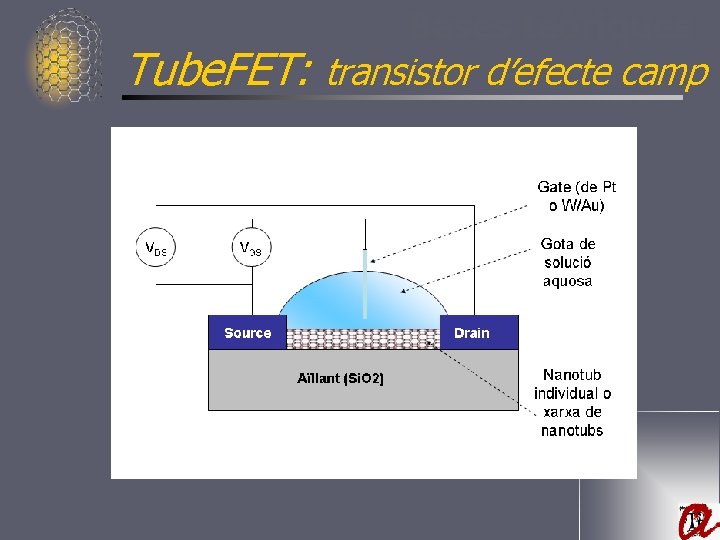 Bases teòriques Tube. FET: transistor d’efecte camp 