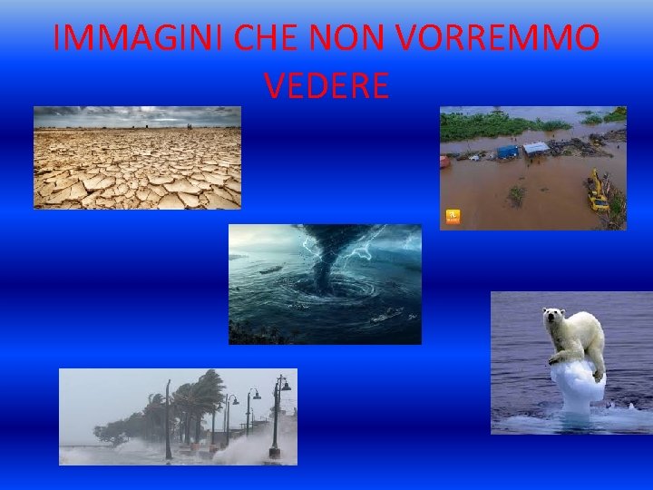 IMMAGINI CHE NON VORREMMO VEDERE 