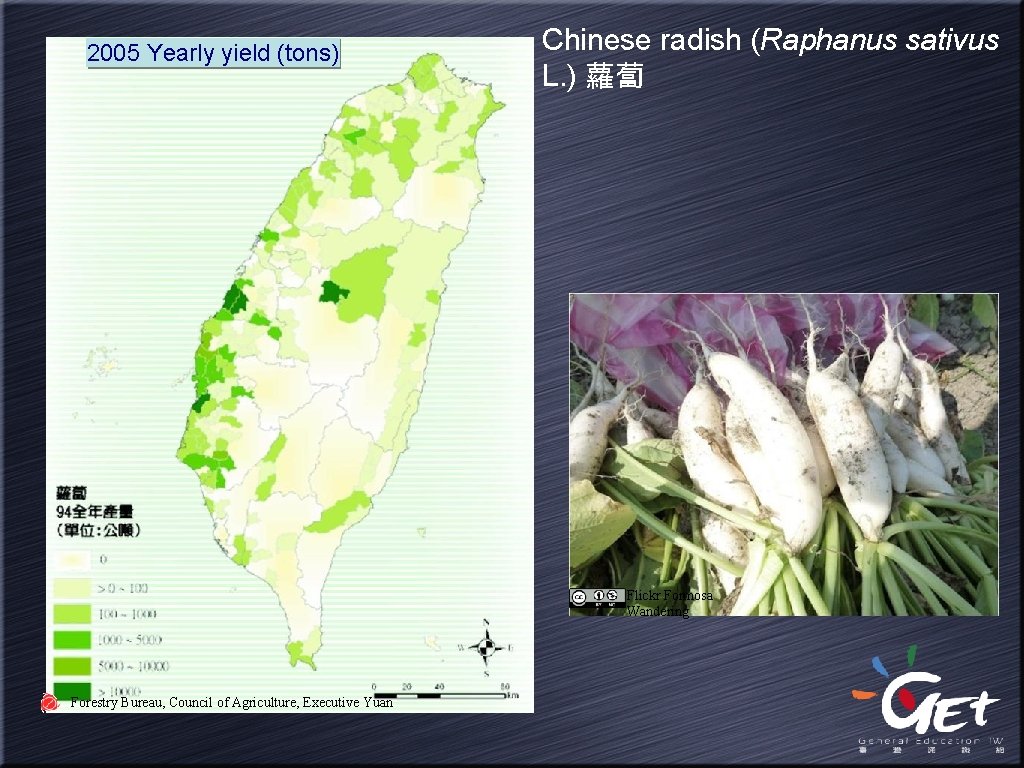 2005 Yearly yield (tons) Chinese radish (Raphanus sativus L. ) 蘿蔔 Flickr Formosa Wandering