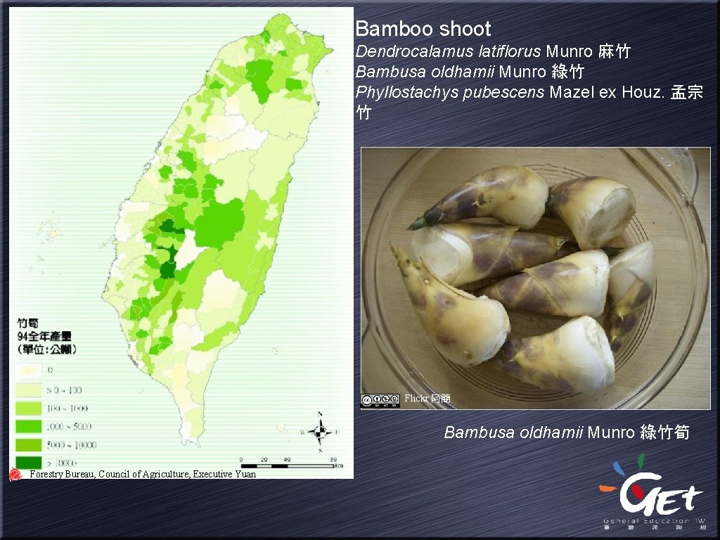 Bamboo shoot Dendrocalamus latiflorus Munro 麻竹 Bambusa oldhamii Munro 綠竹 Phyllostachys pubescens Mazel ex