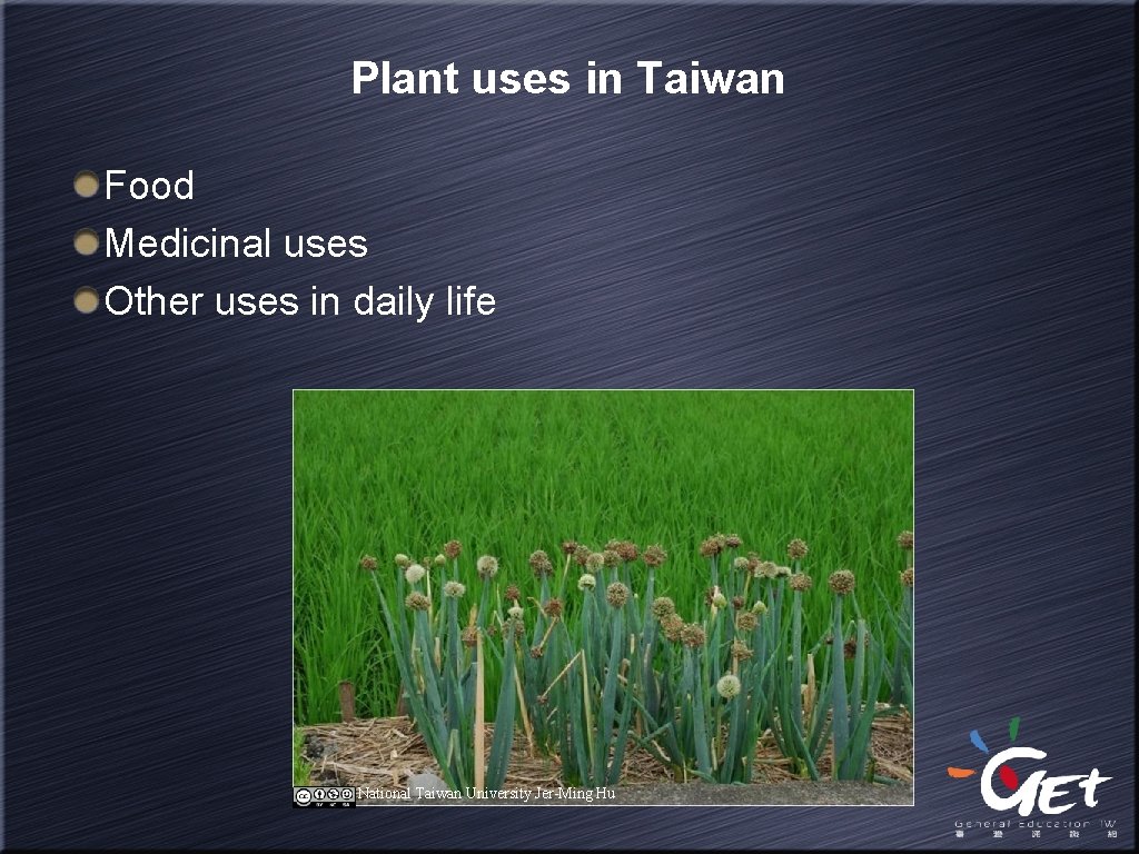 Plant uses in Taiwan Food Medicinal uses Other uses in daily life National Taiwan