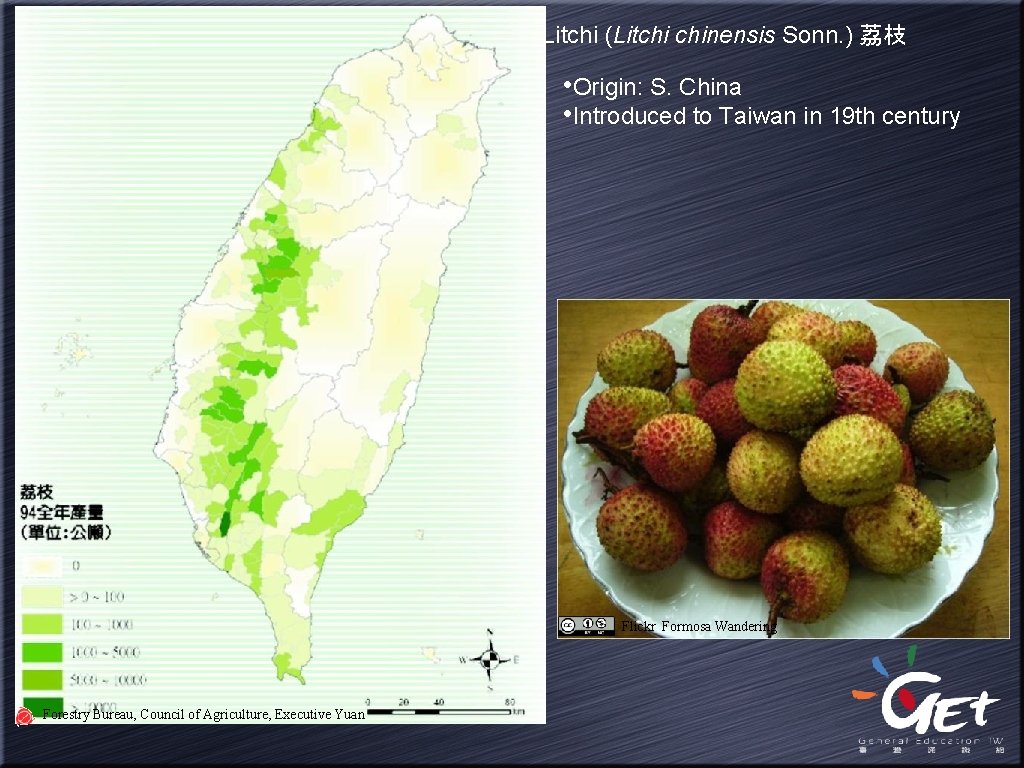 Litchi (Litchi chinensis Sonn. ) 荔枝 • Origin: S. China • Introduced to Taiwan