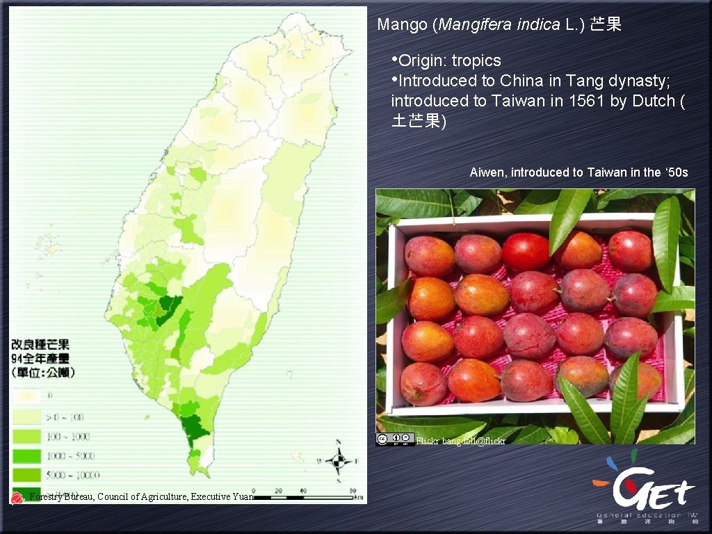 Mango (Mangifera indica L. ) 芒果 • Origin: tropics • Introduced to China in