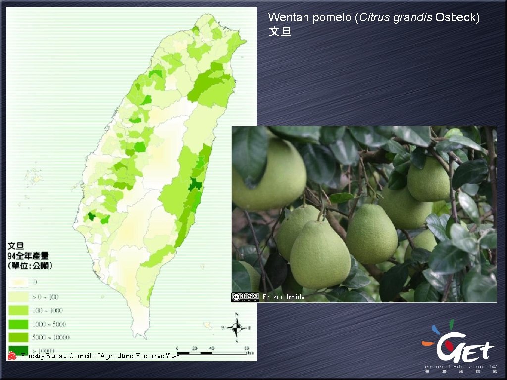 Wentan pomelo (Citrus grandis Osbeck) 文旦 Flickr robinidv Forestry Bureau, Council of Agriculture, Executive