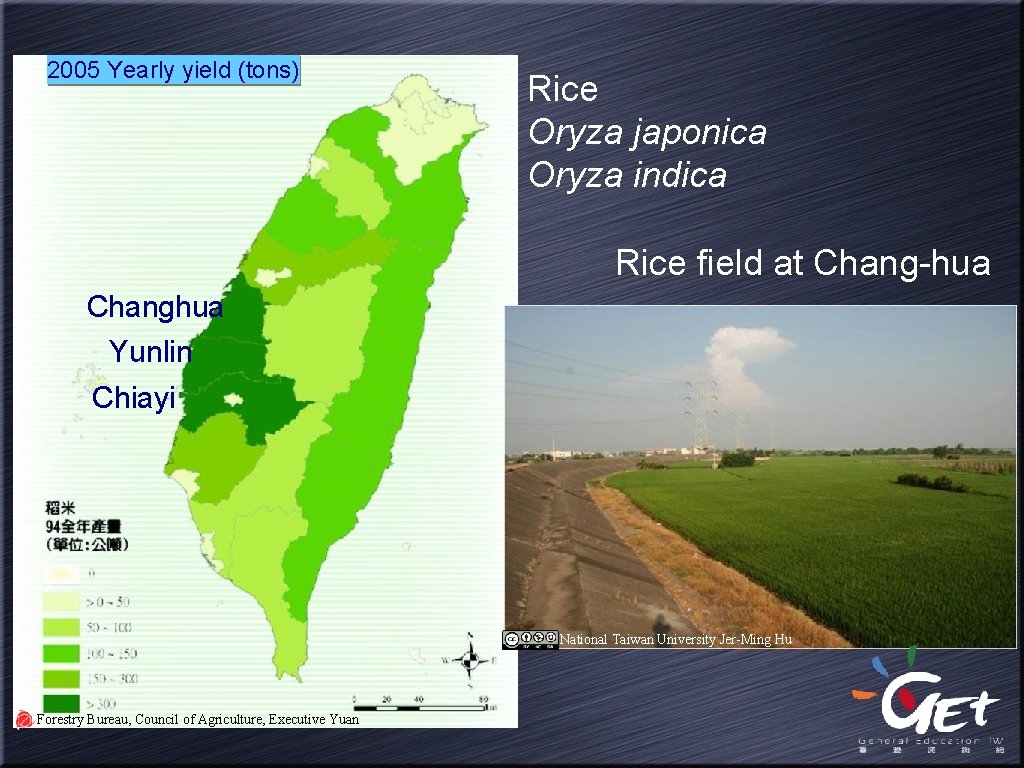 2005 Yearly yield (tons) Rice Oryza japonica Oryza indica Rice field at Chang-hua Changhua