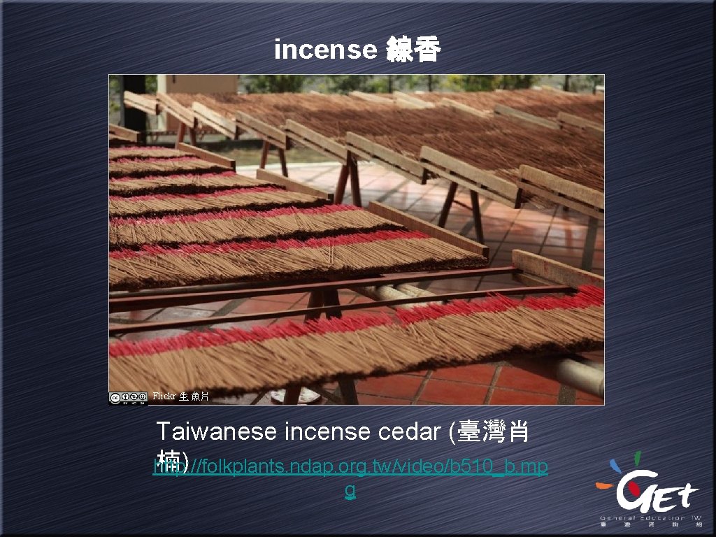 incense 線香 Flickr 生 魚片 Taiwanese incense cedar (臺灣肖 楠) http: //folkplants. ndap. org.