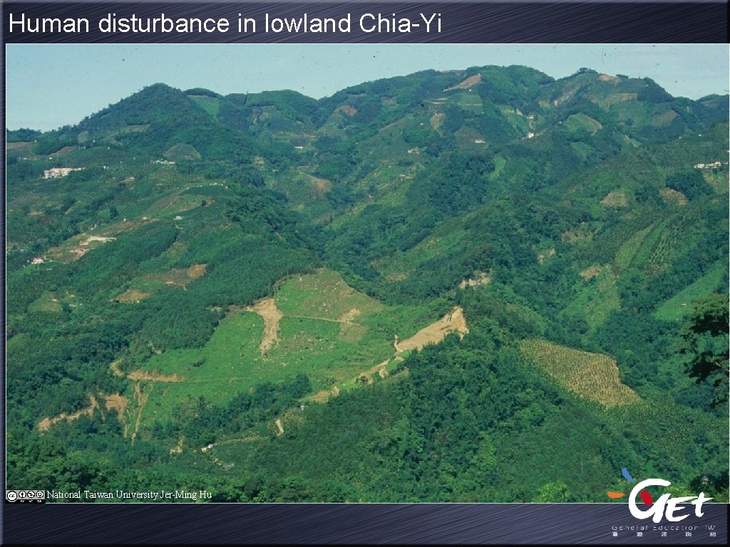 Human disturbance in lowland Chia-Yi National Taiwan University Jer-Ming Hu 