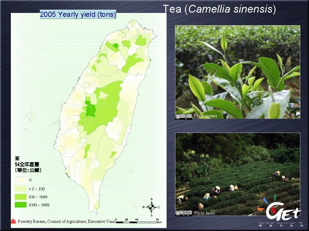 2005 Yearly yield (tons) Tea (Camellia sinensis) Flickr zgware Flickr Jaako Forestry Bureau, Council