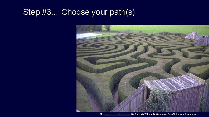 Step #3… Choose your path(s) The maze of Longleat House By Rurik via Wikimedia