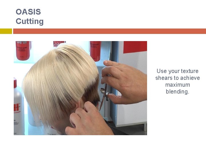 OASIS Cutting Use your texture shears to achieve maximum blending. 