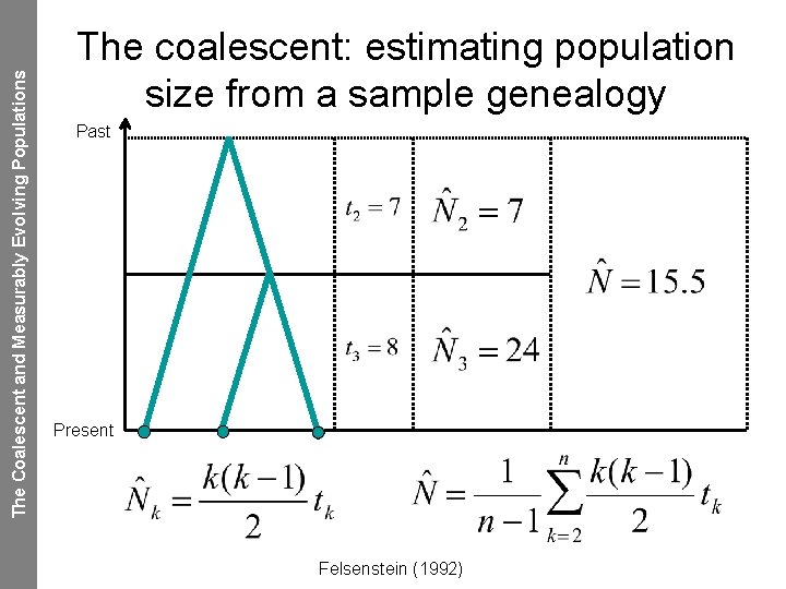 The Coalescent and Measurably Evolving Populations The coalescent: estimating population size from a sample