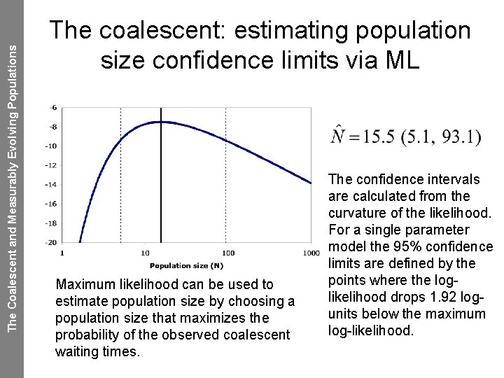 The Coalescent and Measurably Evolving Populations The coalescent: estimating population size confidence limits via