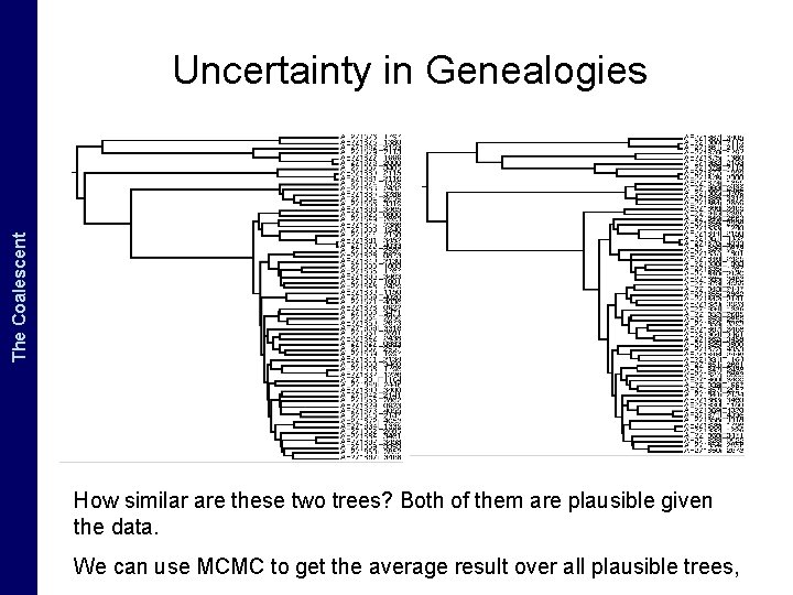 The Coalescent and. The Measurably Evolving Populations Coalescent Uncertainty in Genealogies How similar are