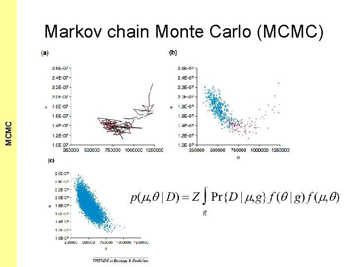 The Coalescent and Measurably MCMC Evolving Populations Markov chain Monte Carlo (MCMC) 