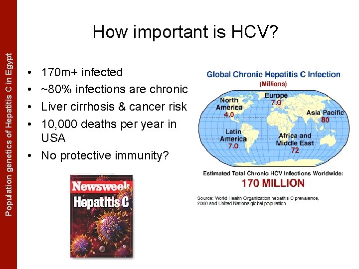 The Coalescent Measurably Evolving Populationand genetics of Hepatitis C in. Populations Egypt How important
