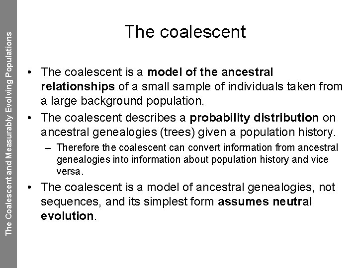 The Coalescent and Measurably Evolving Populations The coalescent • The coalescent is a model