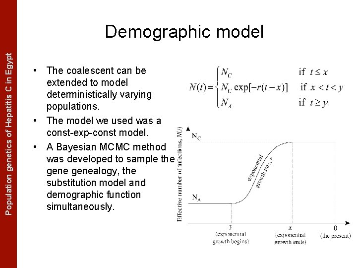 The Coalescent Measurably Evolving Populationand genetics of Hepatitis C in. Populations Egypt Demographic model