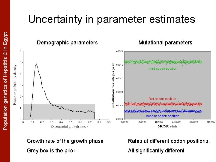 The Coalescent Measurably Evolving Populationand genetics of Hepatitis C in. Populations Egypt Uncertainty in