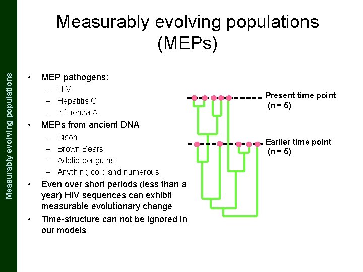 The Coalescent and Measurably Evolving Populations Measurably evolving populations (MEPs) • MEP pathogens: –