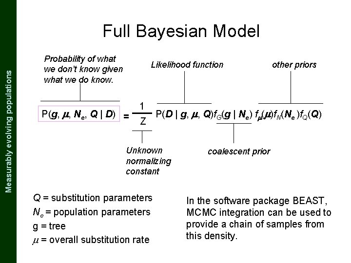 The Coalescent and Measurably Evolving Populations Measurably evolving populations Full Bayesian Model Probability of