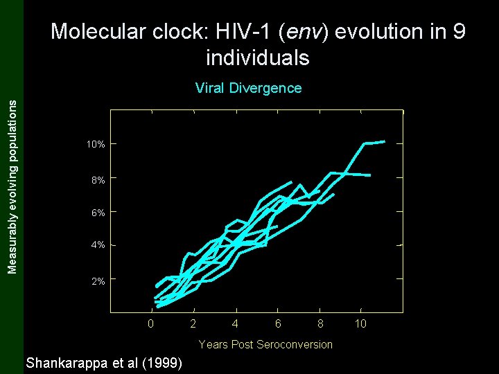 The Coalescent and Measurably Evolving Populations Measurably evolving populations Molecular clock: HIV-1 (env) evolution