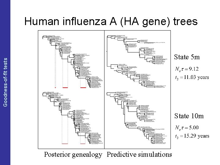 The Coalescent and Measurably Evolving Populations Goodness-of-fit tests Human influenza A (HA gene) trees