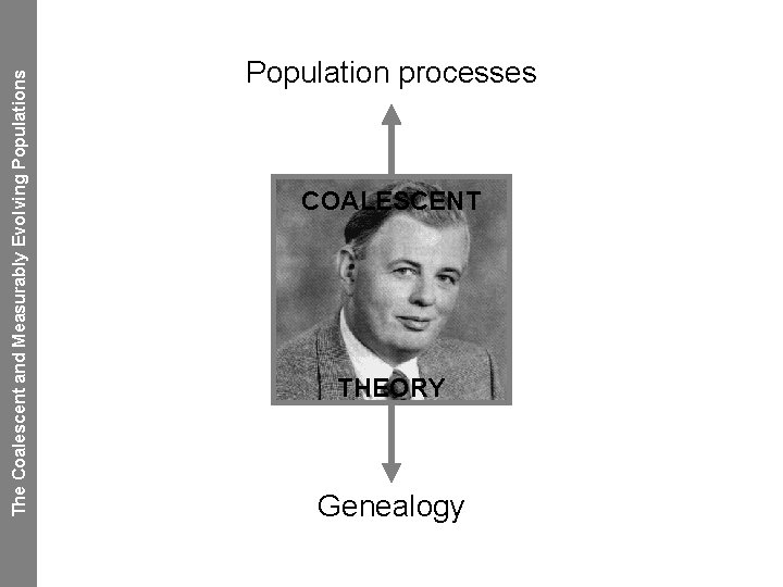 The Coalescent and Measurably Evolving Populations Population processes COALESCENT THEORY Genealogy 