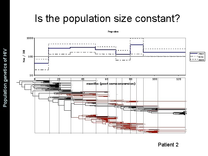 Pop size 1000 Ne / 30 The Coalescent and Measurably Population genetics. Evolving of