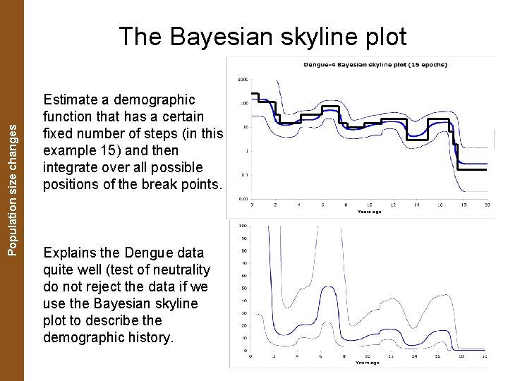 The Coalescent. Population and Measurably Evolving Populations size changes The Bayesian skyline plot Estimate