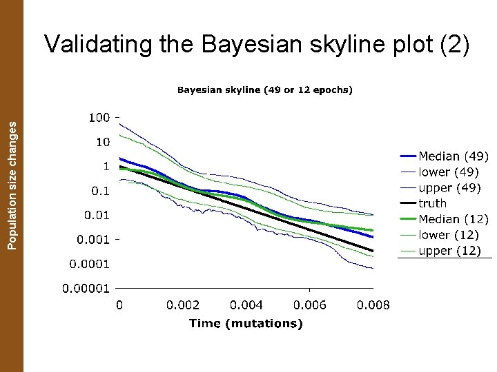 The Coalescent. Population and Measurably Evolving Populations size changes Validating the Bayesian skyline plot