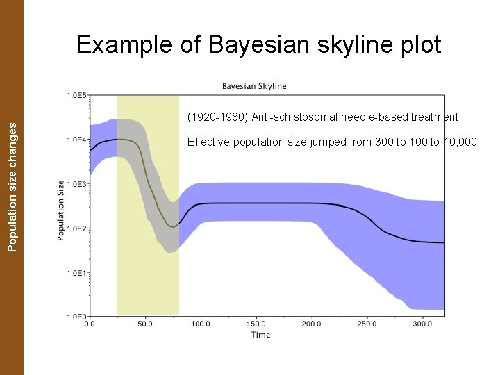 The Coalescent. Population and Measurably Evolving Populations size changes Example of Bayesian skyline plot