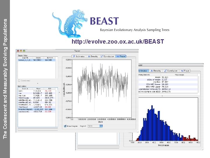 The Coalescent and Measurably Evolving Populations http: //evolve. zoo. ox. ac. uk/BEAST 