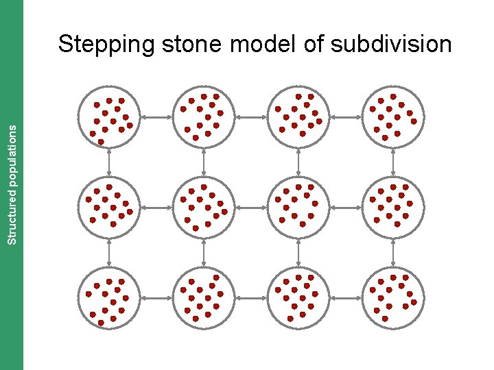 The Coalescent. Structured and Measurably Evolving Populations populations Stepping stone model of subdivision 