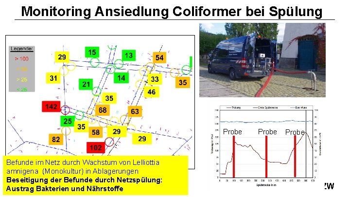 Monitoring Ansiedlung Coliformer bei Spülung Probe Befunde im Netz durch Wachstum von Lelliottia amnigena