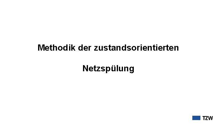 Methodik der zustandsorientierten Netzspülung 