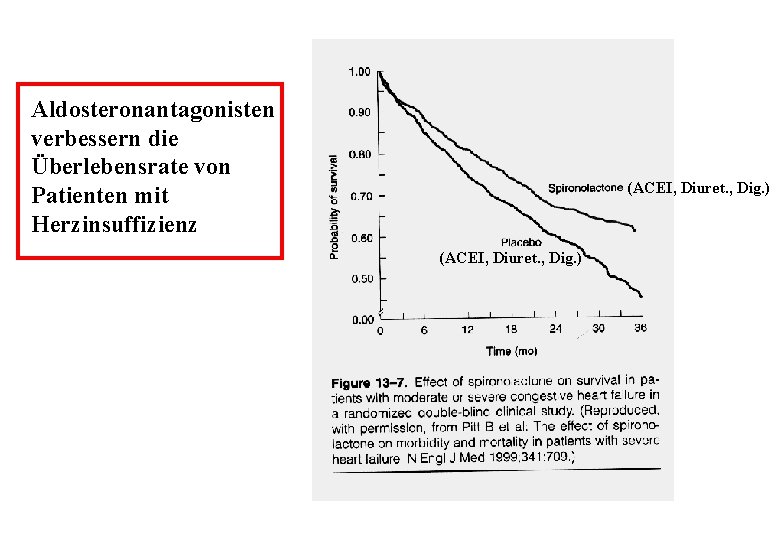 Aldosteronantagonisten verbessern die Überlebensrate von Patienten mit Herzinsuffizienz (ACEI, Diuret. , Dig. ) 