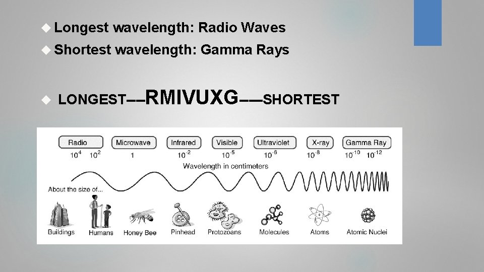  Longest wavelength: Radio Waves Shortest wavelength: Gamma Rays LONGEST----RMIVUXG-----SHORTEST 