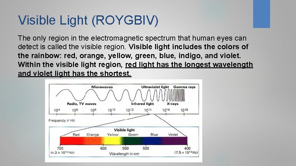 Visible Light (ROYGBIV) The only region in the electromagnetic spectrum that human eyes can