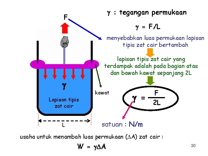  : tegangan permukaan F = F/L menyebabkan luas permukaan lapisan tipis zat cair