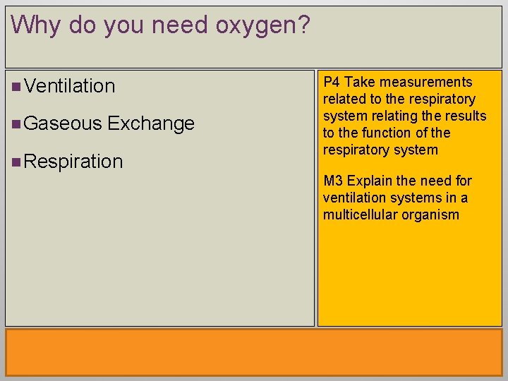 Why do you need oxygen? n Ventilation n Gaseous Exchange n Respiration P 4