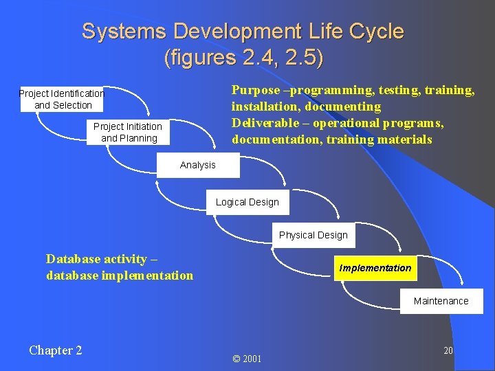 Systems Development Life Cycle (figures 2. 4, 2. 5) Purpose –programming, testing, training, installation,