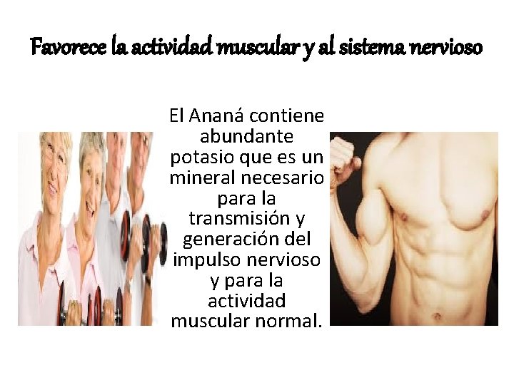 Favorece la actividad muscular y al sistema nervioso El Ananá contiene abundante potasio que