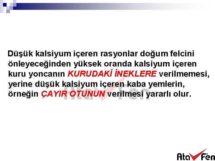 Düşük kalsiyum içeren rasyonlar doğum felcini önleyeceğinden yüksek oranda kalsiyum içeren kuru yoncanın KURUDAKİ