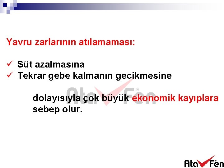 Yavru zarlarının atılamaması: ü Süt azalmasına ü Tekrar gebe kalmanın gecikmesine dolayısıyla çok büyük