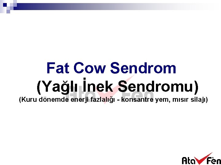 Fat Cow Sendrom (Yağlı İnek Sendromu) (Kuru dönemde enerji fazlalığı - konsantre yem, mısır