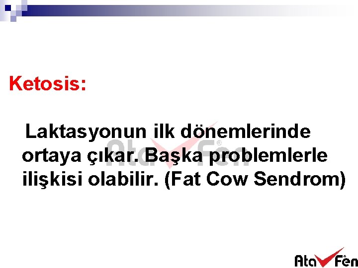 Ketosis: Laktasyonun ilk dönemlerinde ortaya çıkar. Başka problemlerle ilişkisi olabilir. (Fat Cow Sendrom) 